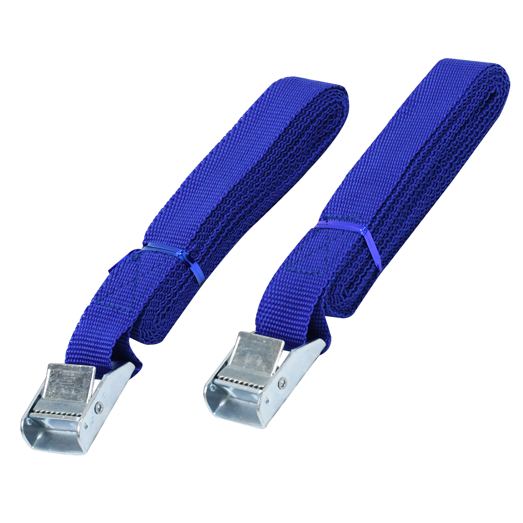 SET OF 2 LASHING STRAPS CARGO LUGGAGE TIE DOWN CAM BUCKLE ROOF RACK 2.5M X 25MM